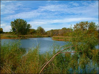 Tiff Nature Preserve