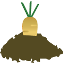 Golden Carrot Plant
