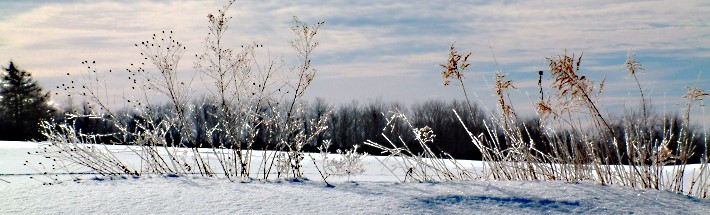 Winter in WNY