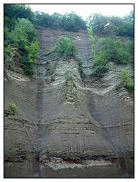 Giant Flutted Cliff