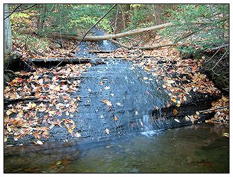 Bare Bunns Falls