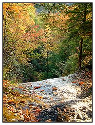 Bare Bunns Falls