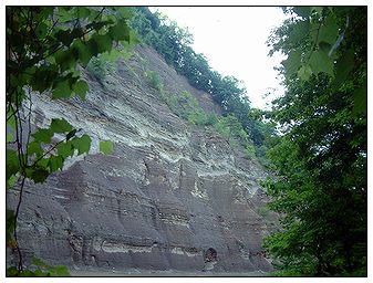 Giant Flutted Cliff