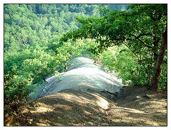 Hogsback Ridge