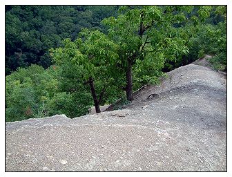 Hogsback Ridge