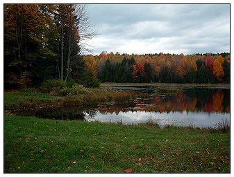 Holcomb Pond