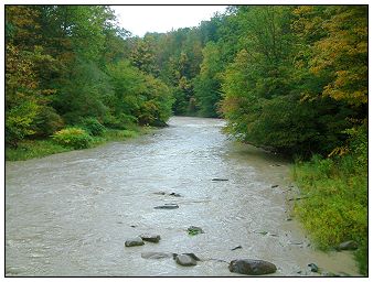 South Branch High Water